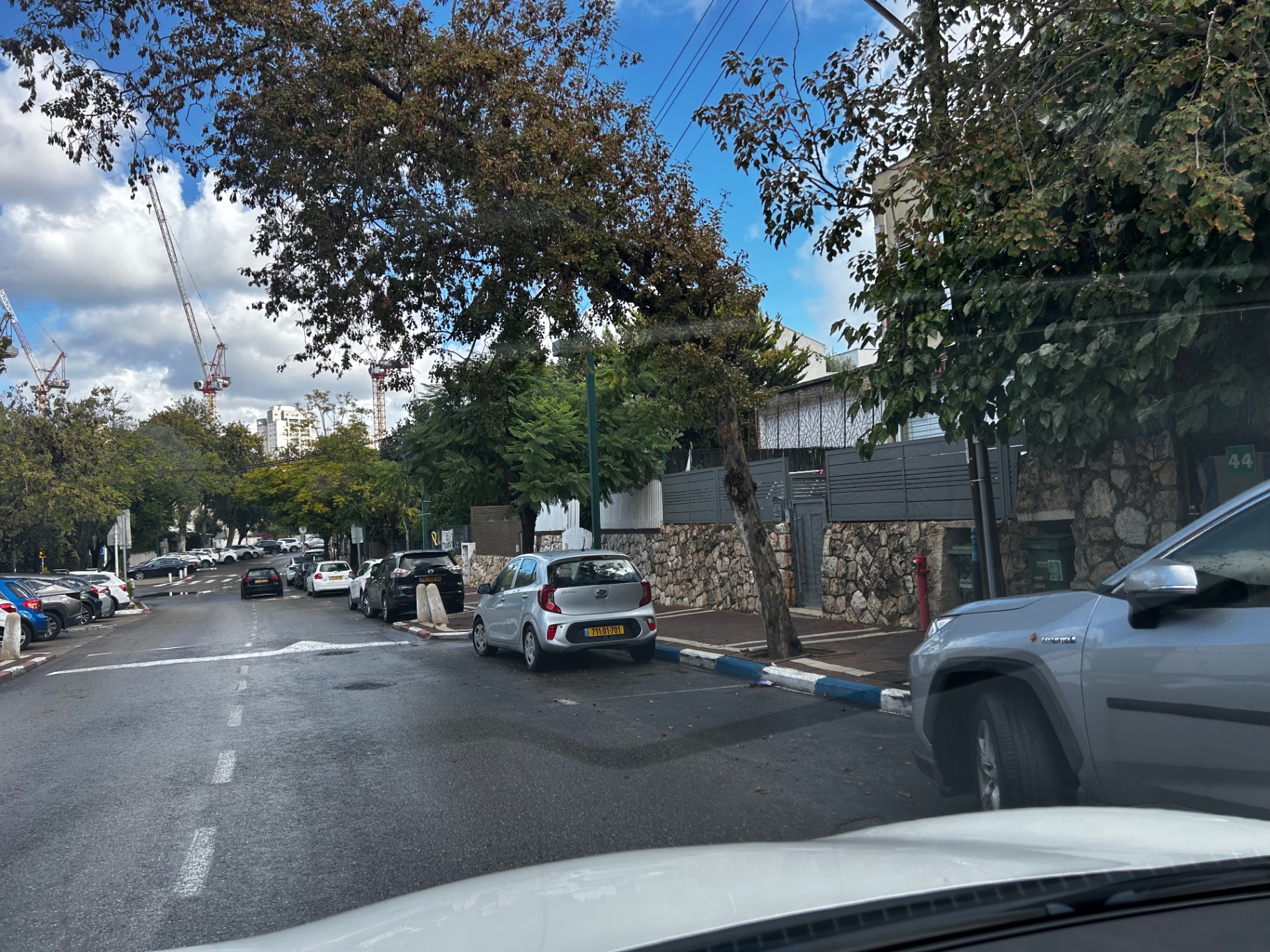 הרחוב השקט ליד הדירה, עצים ומכוניות חונות